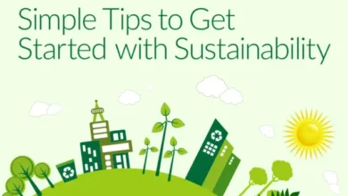 5 Ways to live life more Sustainably