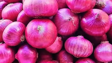 Onion Prices: देश में क्या है खुदरा प्याज की कीमत? से कब मिलेगी निजात